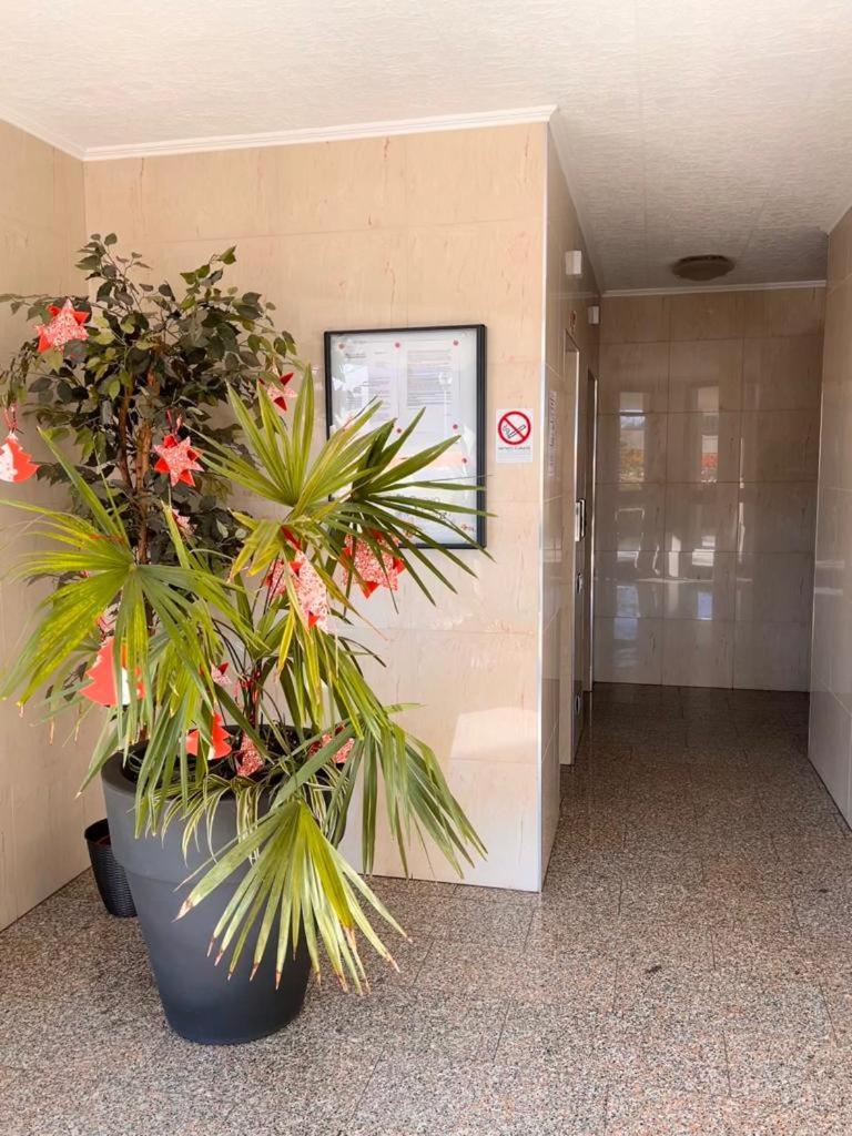 Coco Apartment Bergamo Bagian luar foto
